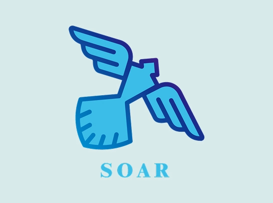 Soar image